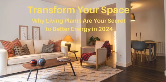 Transform Your Space: Why Living Plants Are Your Secret to Better Energy in 2024
