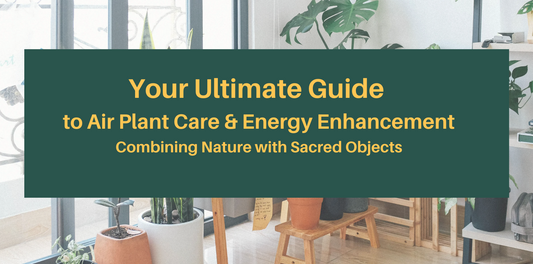 Your Ultimate Guide to Air Plant Care & Energy Enhancement: Combining Nature with Sacred Objects